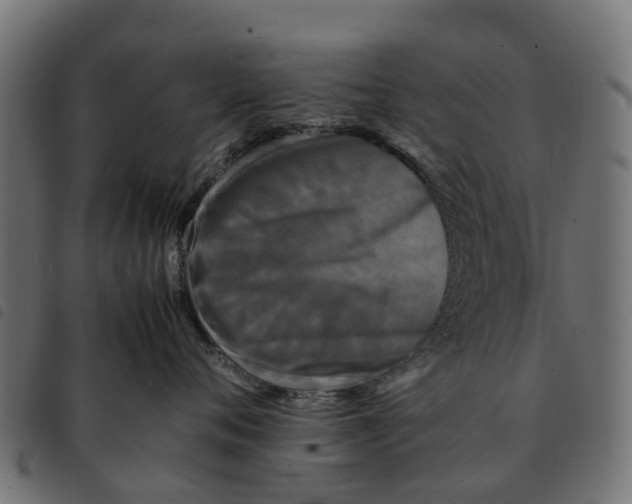 X0000092230720200710121218