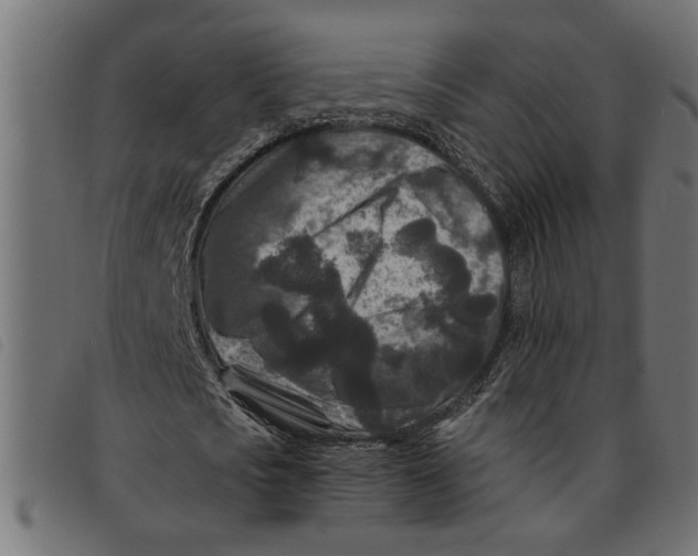 X0000092230721200710121217