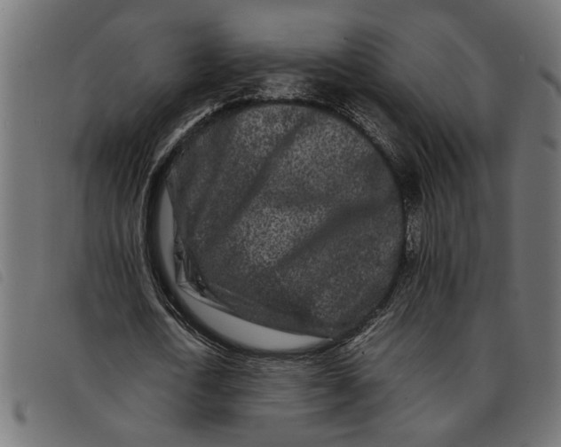 X0000092230722200710121217