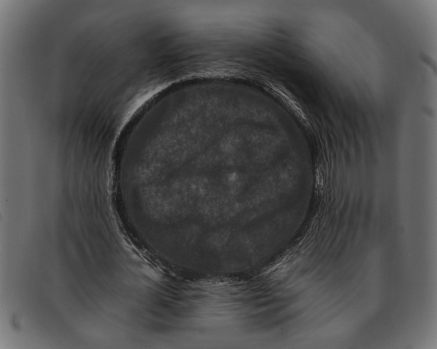 X0000092230724200710121217