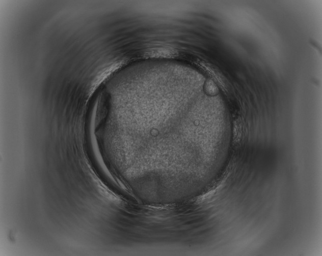 X0000092230725200710121217