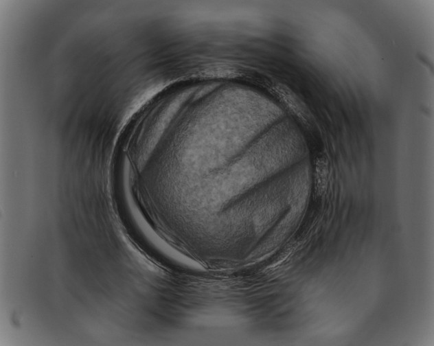 X0000092230726200710121217