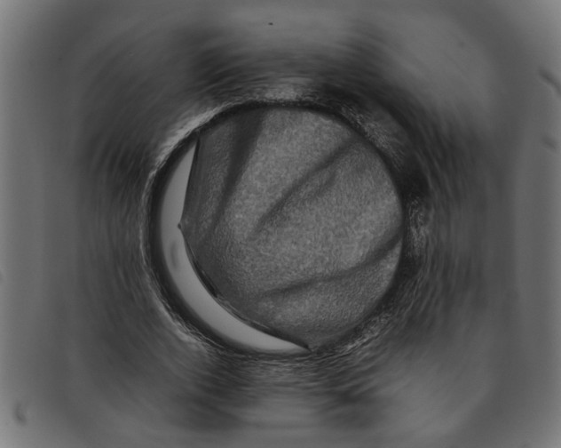 X0000092230728200710121217