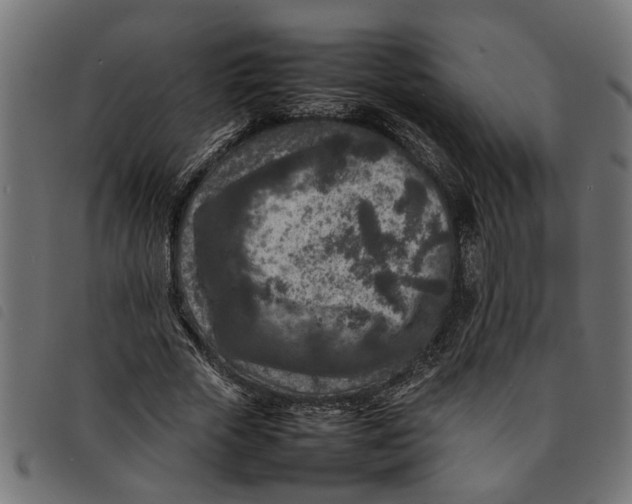 X0000092230729200710121217