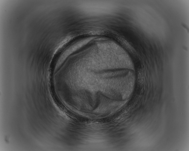 X0000092230730200710121217