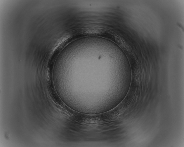 X0000092230731200710121217