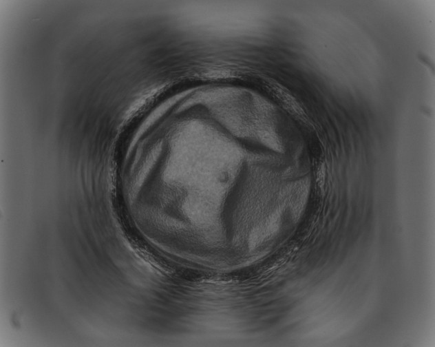 X0000092230732200710121217