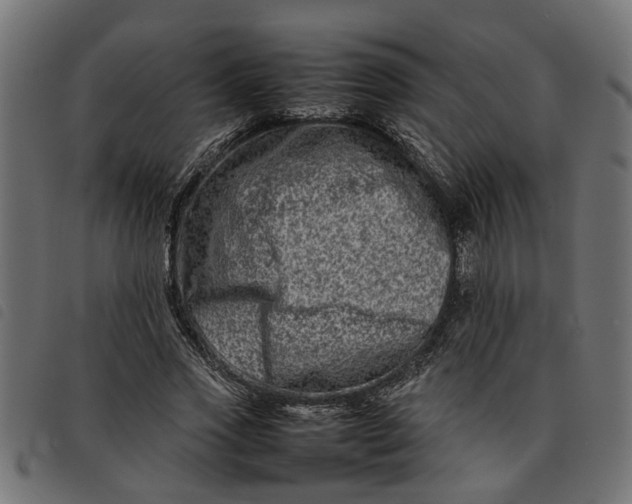 X0000092230733200710121217