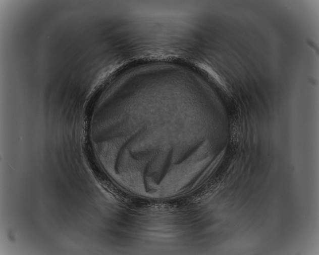 X0000092230736200710121217