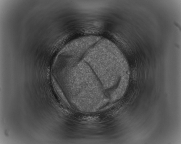 X0000092230737200710121217