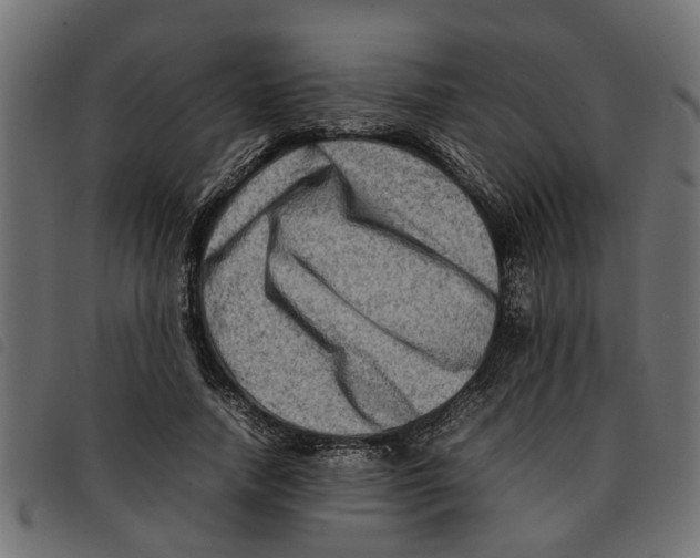 X0000092230738200710121217