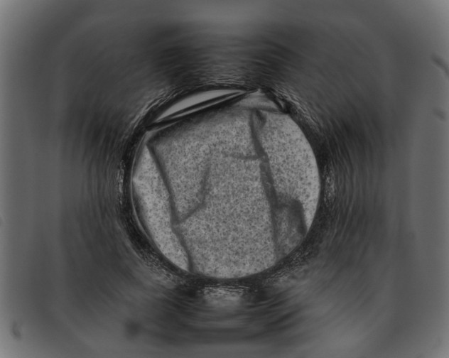 X0000092230739200710121217