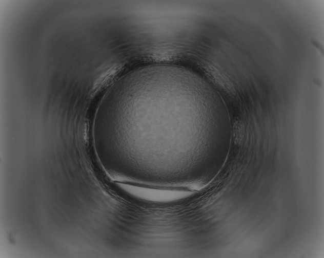 X0000092230740200710121217