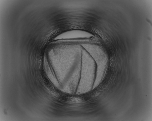 X0000092230741200710121217