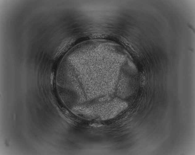 X0000092230742200710121217