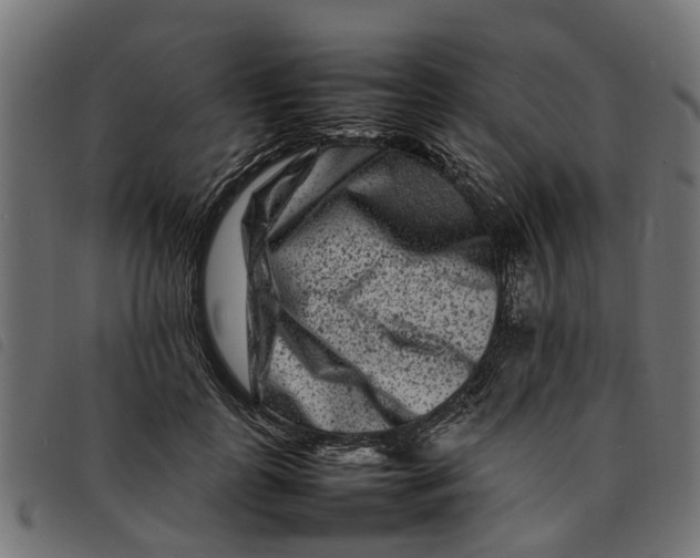 X0000092230747200710121217