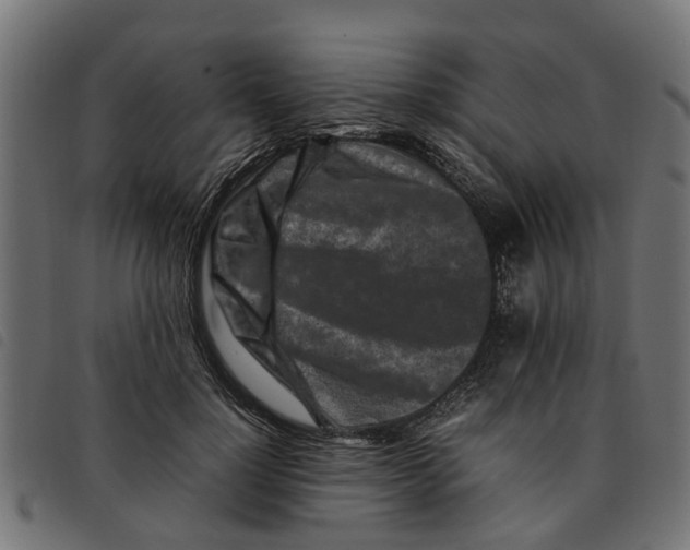 X0000092230748200710121217