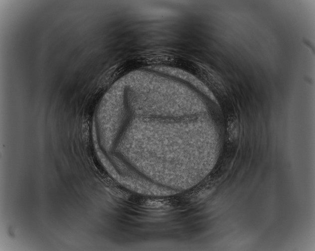 X0000092230753200710121217