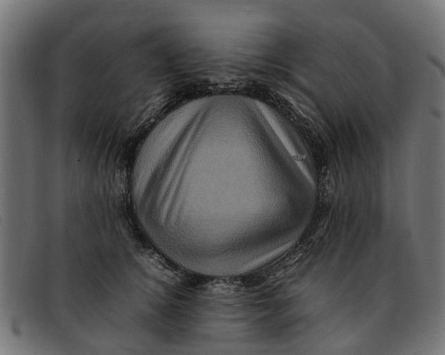 X0000092230756200710121217