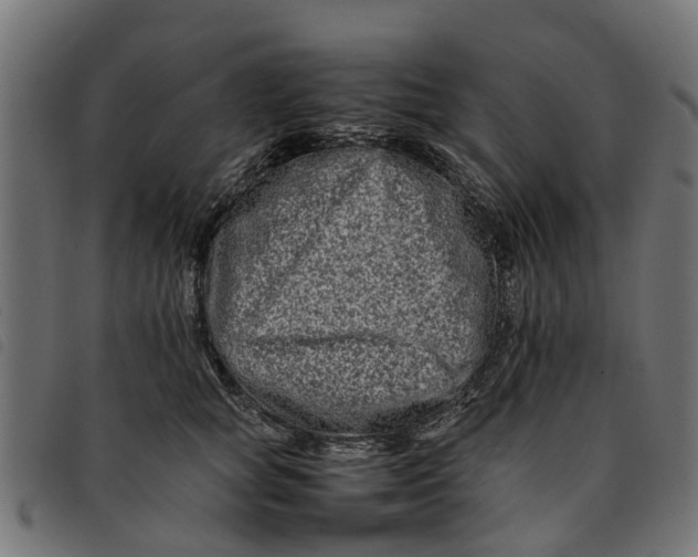 X0000092230757200710121217