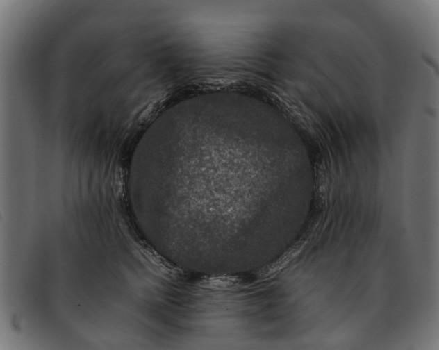 X0000092230758200710121217