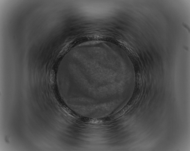 X0000092230760200710121217