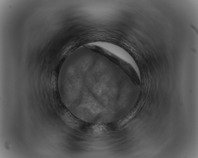 X0000092230762200710121218