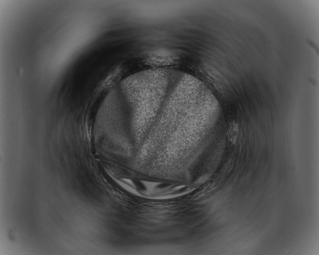 X0000092230763200710121218