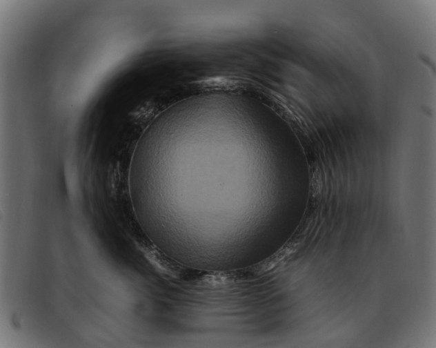 X0000092230764200710121218