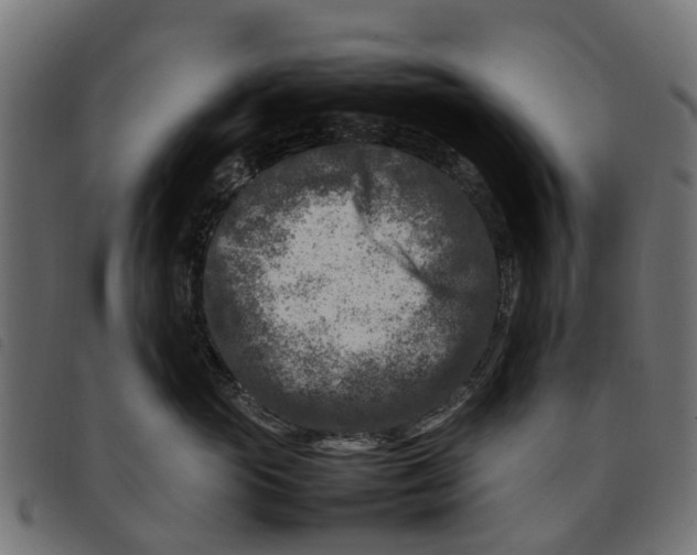 X0000092230765200710121218