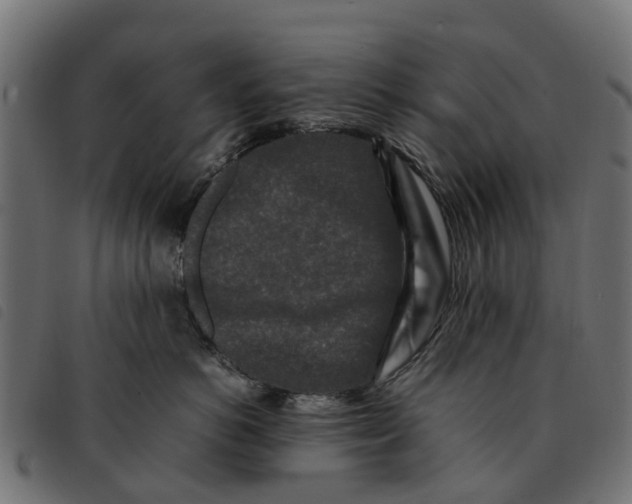 X0000092230766200710121218