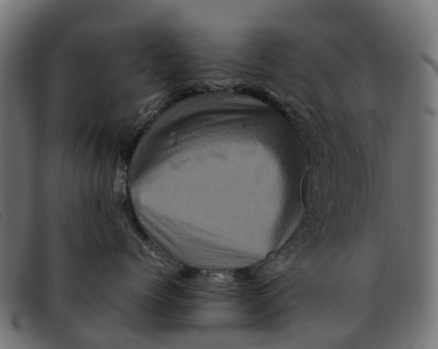 X0000092230768200710121218