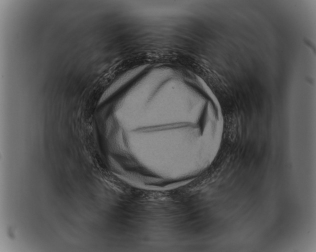 X0000092230770200710121217