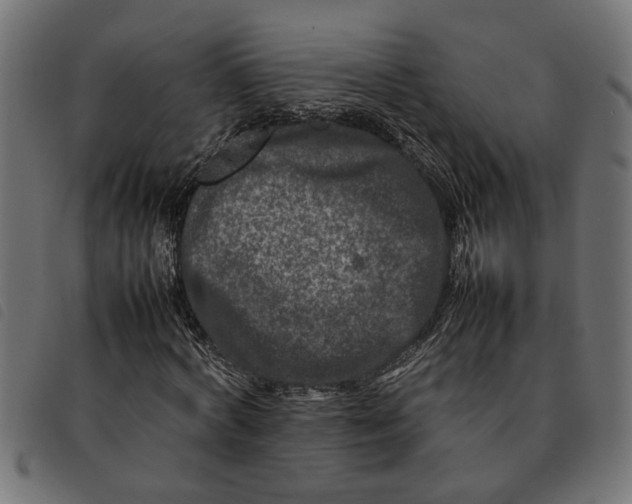 X0000092230772200710121217