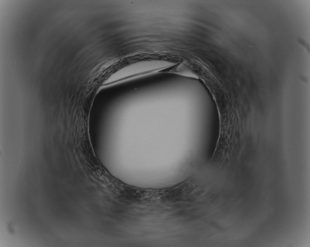 X0000092230773200710121217