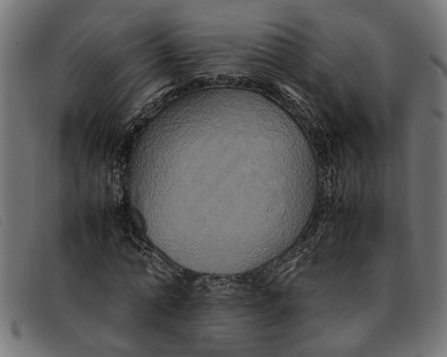 X0000092230774200710121217