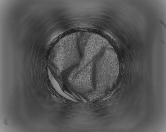 X0000092230775200710121217