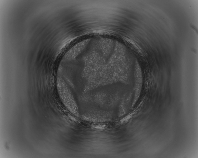 X0000092230776200710121217