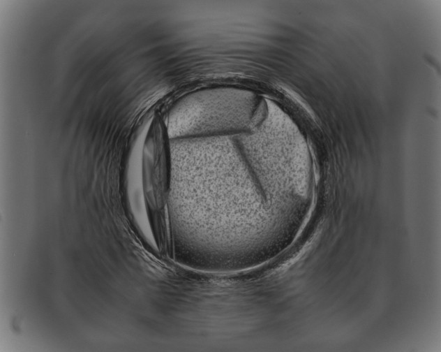 X0000092230777200710121217