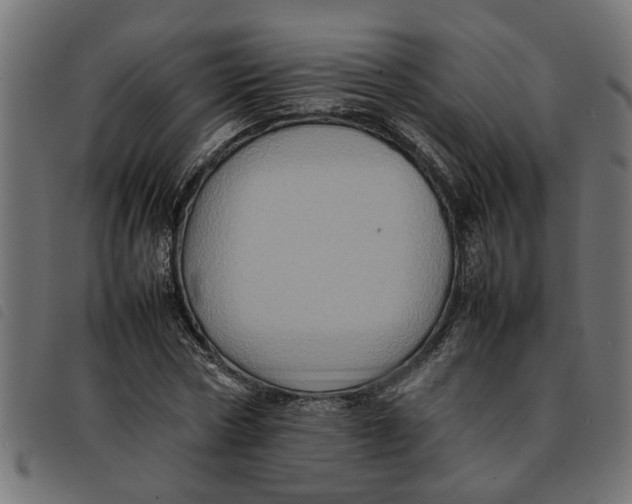 X0000092230778200710121217