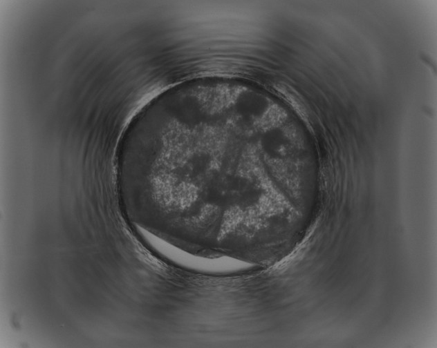 X0000092230779200710121217