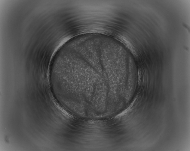 X0000092230780200710121217