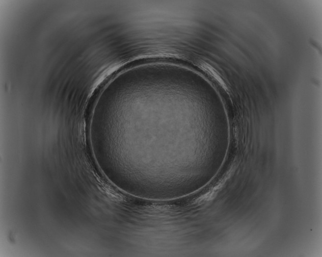 X0000092230781200710121217