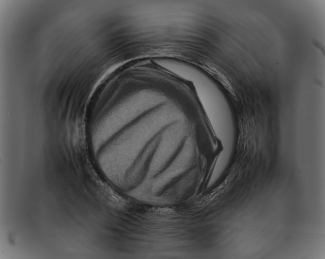 X0000092230784200710121217