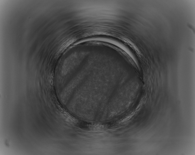 X0000092230785200710121217