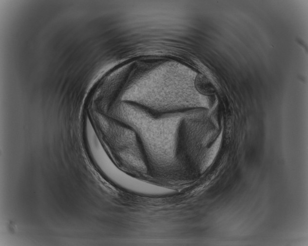 X0000092230787200710121217