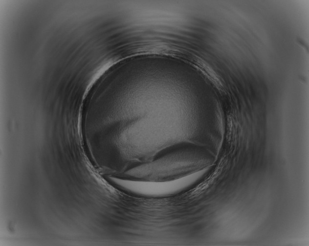 X0000092230788200710121217