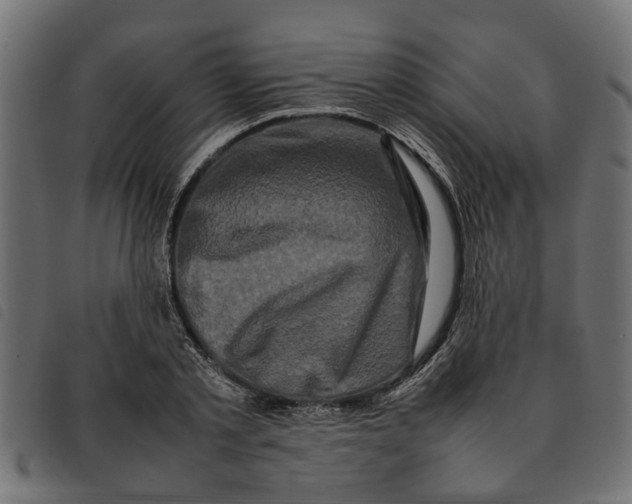 X0000092230789200710121217