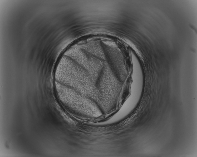 X0000092230791200710121217