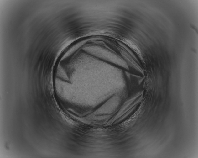 X0000092230792200710121217